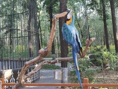 -北京野生动物园