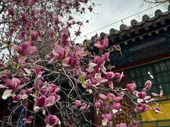 -潭柘寺景区