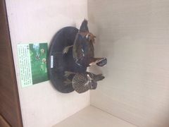 iphone_upload_pic-下渚湖国家湿地公园科普馆