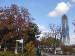 -海宁鹃湖公园
