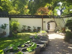 -上海醉白池公园