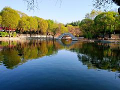 -辛玛王国游乐园