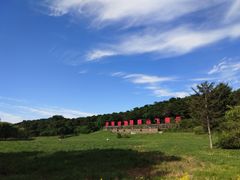 -沈阳森林动物园