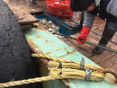 -中国舟山国际水产城