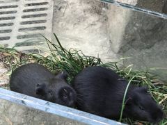 -昆山城市生态森林公园