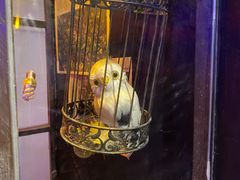 -神盾局密室逃脱