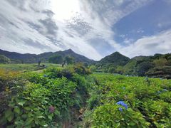 -昆嵛山石门里景区