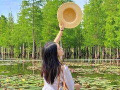 -白鹭湾湿地公园