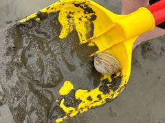 -启东黄金海滩景区