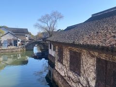 -鲁镇