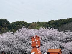 -苏州上方山国家森林公园