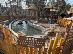 -茅山东方盐湖城景区