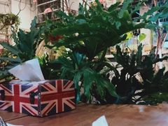 -蓝山四季西餐植物店