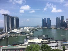 -新加坡丽思卡尔顿美年酒店
