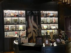 -雪灵魔法世界SHELLY’S TAROT(大良桂畔里店)