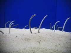 -上海海洋水族馆