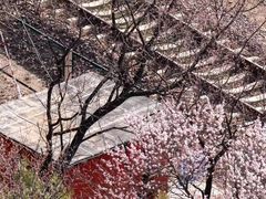 -居庸关长城
