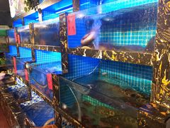 -友强·23年特色海鲜大排档(厦门店)