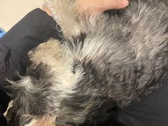 -海大大蒸汽海鲜餐厅·粤菜·特色小炒(欢乐颂店)