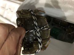 -七的湖·晚芳亭·阳澄湖农家菜·大闸蟹(莲花岛店)