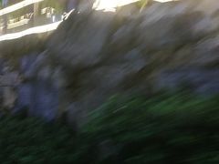-老幺泉水鸡