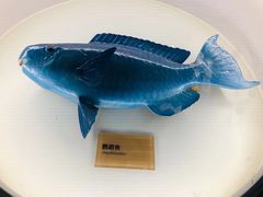 -陕西自然博物馆