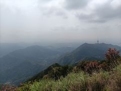 -梧桐山风景名胜区