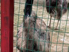 -武汉紫薇都市田园