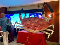 -金唐海鲜酒家