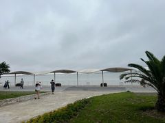 -碧海金沙