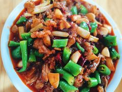 鲜椒羊蹄-野狗羊肉汤