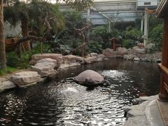 -龙达温泉生态城