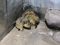 -苏州海洋馆