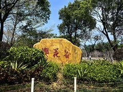 -聚龙山公园