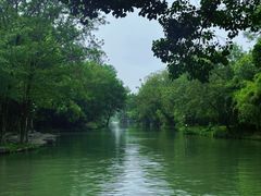 -西溪国家湿地公园