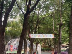 -哟吼艺术餐厅·亲子·生日宴