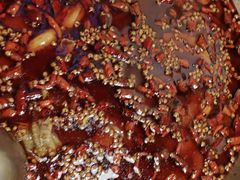 -味之绝热血美蛙鱼火锅(中坝店)