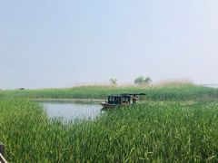 -太湖湖滨国家湿地公园-停车场