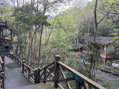 -宁海森林温泉