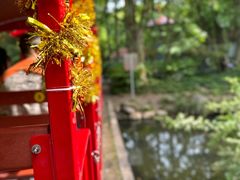 -上海共青森林公园