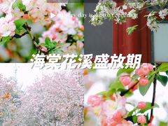 -海棠花溪(元大都城垣遗址公园)