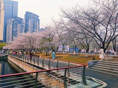 -西北湖绿化广场