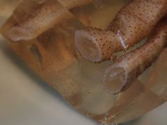 -八闽饭店闽南小镇(铁西店)