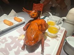 -大鸽饭(体育西路店)