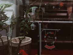 -圣典成人钢琴俱乐部(国贸旗舰校区)