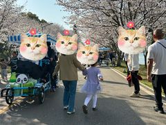 -团城山公园