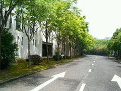 -蠡湖大桥公园