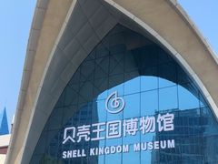 -贝壳王国博物馆