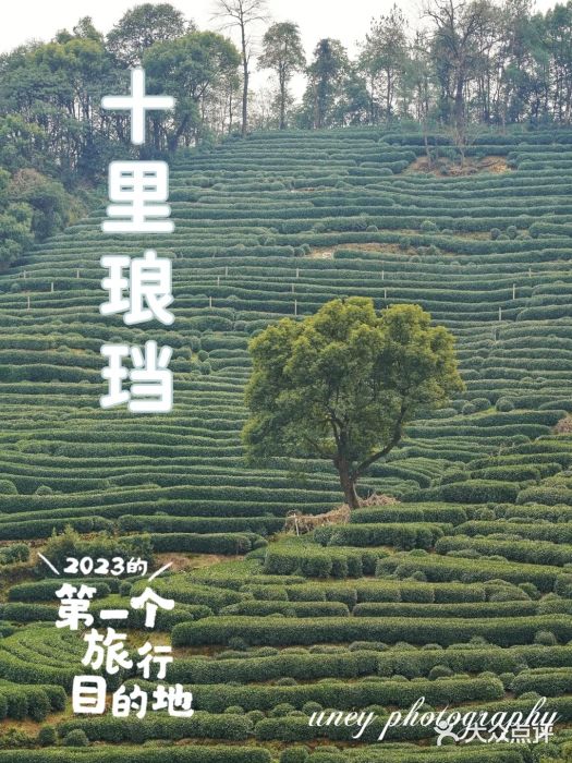十里琅珰图片