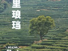-十里琅珰